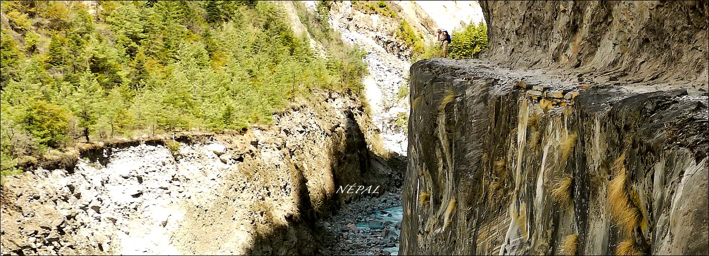 Stacks Image 67723