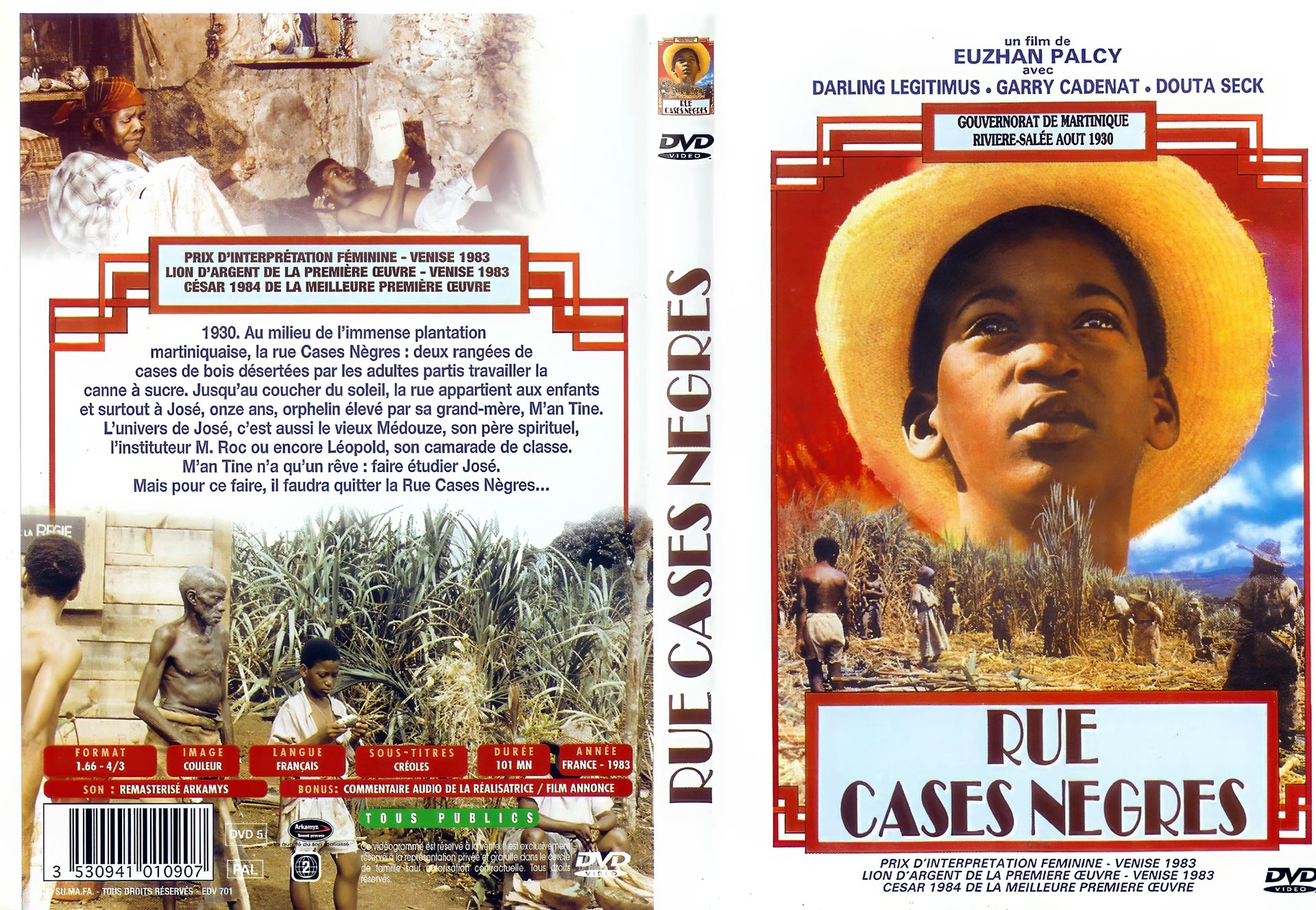 Jaquette du DVD - Affiche du film 