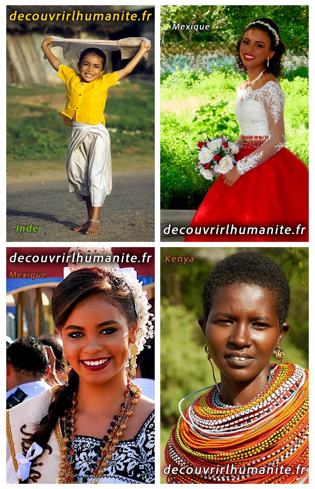 Découvrir l'Humanité - Cartes de visite  
