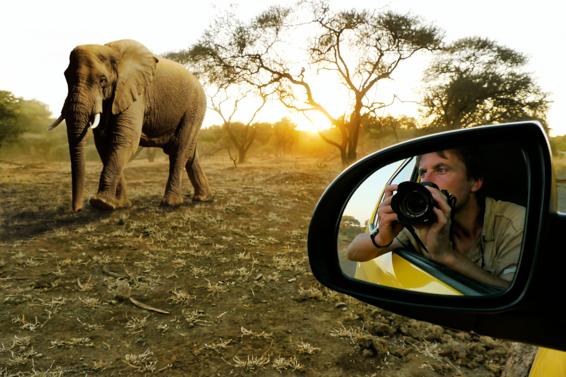 Afrique du Sud - Parc National Kruger  